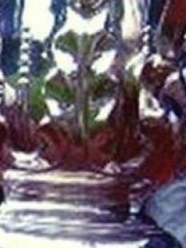Roehampton Cup (Roehampton, 1957)